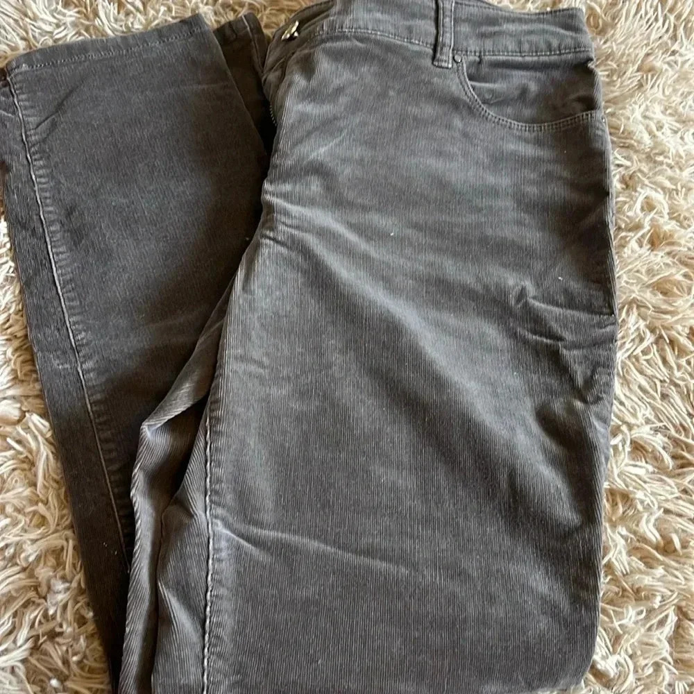 Chico’s stretch cords